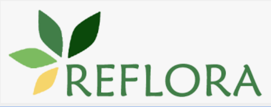 Flora do Brasil Logo