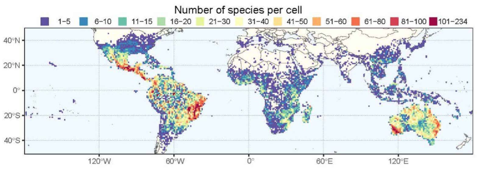 The distribution of Caesalpinioideae species-richness in one-degree cells across the tropics(Advances in Legume Systematics, ALS14, Part 2, in prep.).